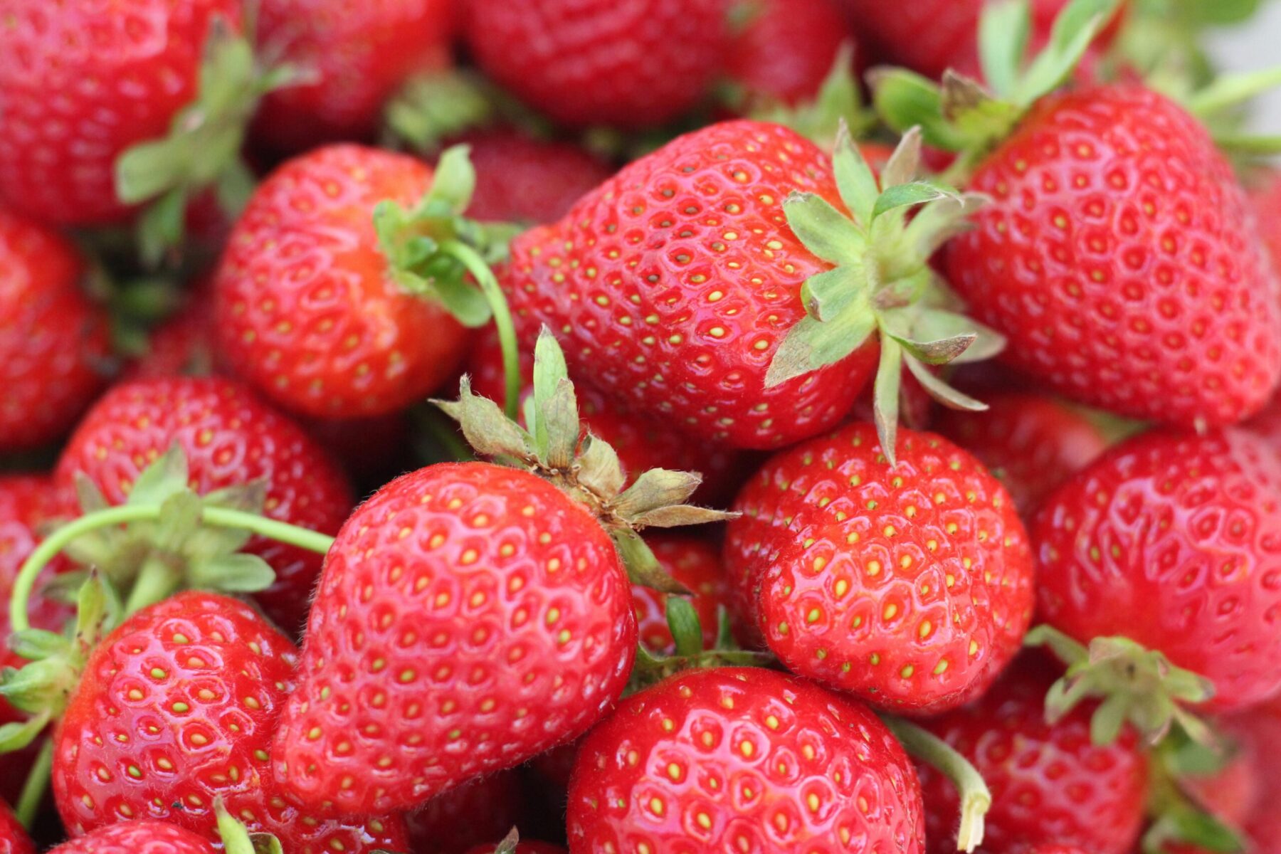 Apa yang Salah Dari Generasi Strawberry?