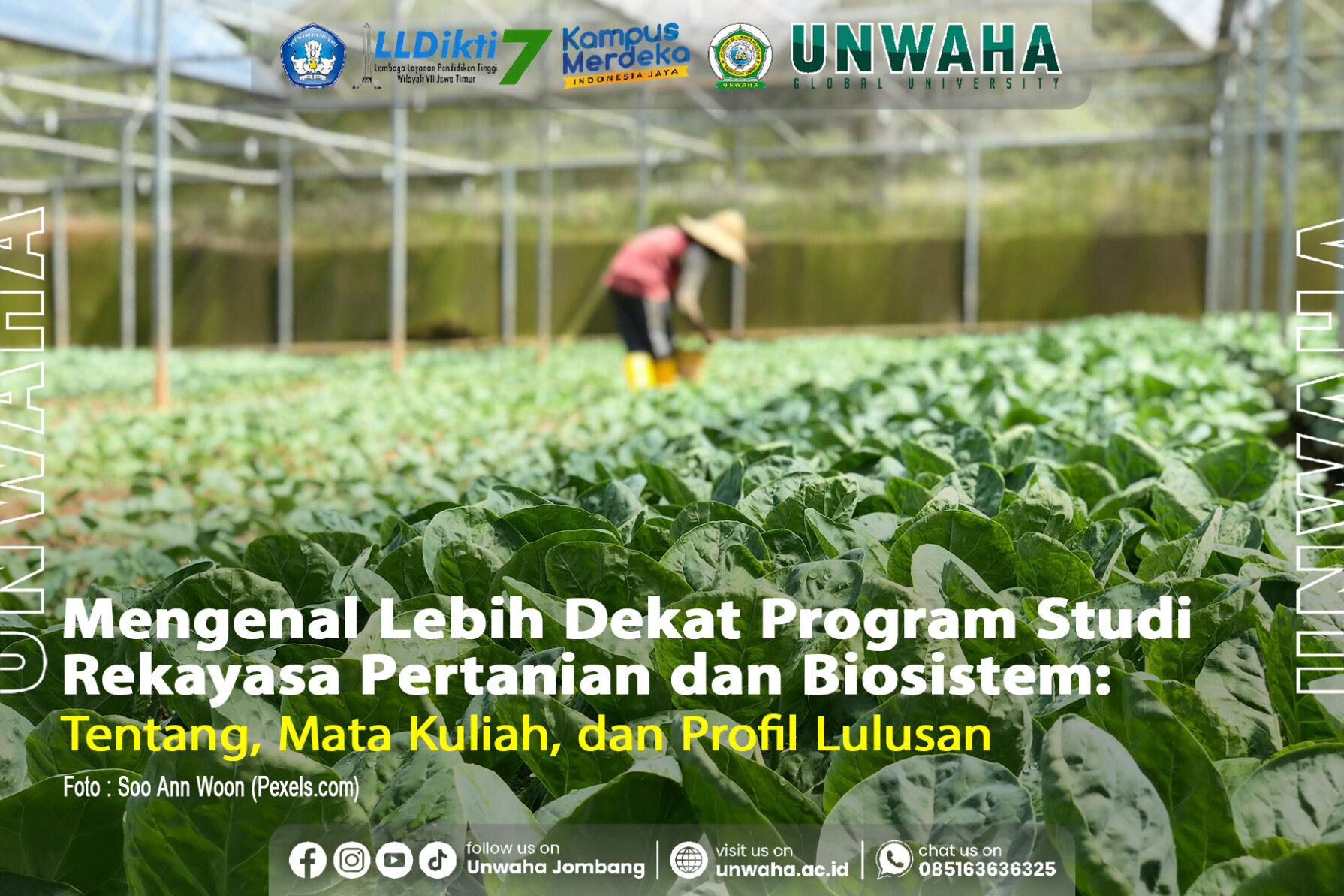 Mengenal Lebih Dekat dengan Program Studi Rekayasa Pertanian dan Biosistem Unwaha Jombang
