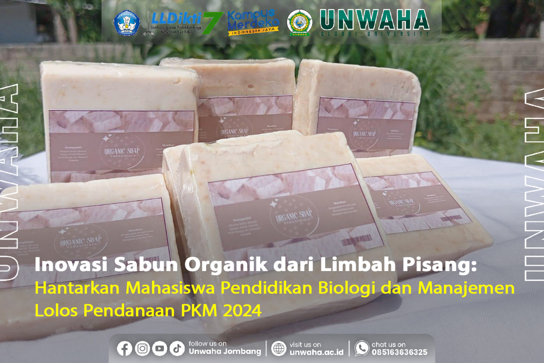 Inovasi Sabun Organik dari Limbah Pisang Hantarkan Mahasiswa Pendidikan Biologi dan Manajemen Lolos Pendanaan PKM 2024